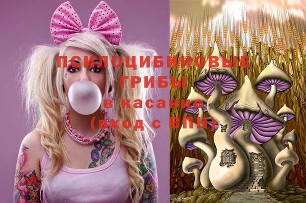 прущая мука Балахна