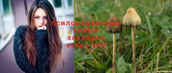 эйфоретик Арсеньев